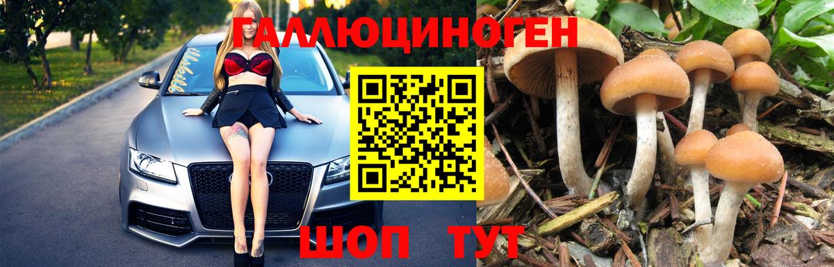 Галлюциногенные грибы Cubensis  Вход с VPN  Малоярославец 
