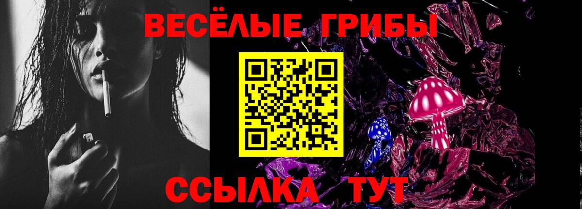 Псилоцибиновые грибы Cubensis Малоярославец